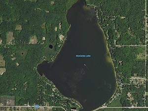 Manistee Lake Homes and Land for Sale